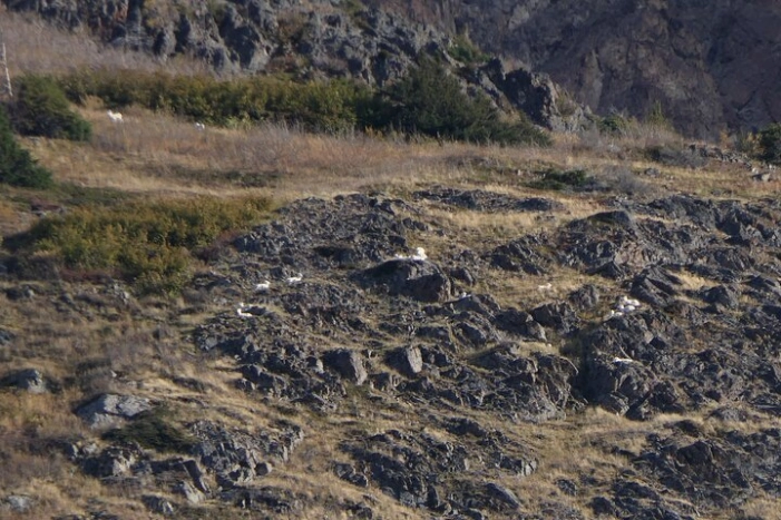 Image 20