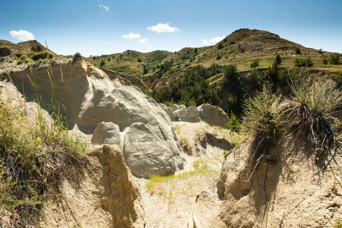 Image 10