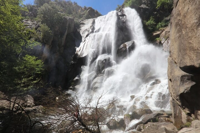 Image 12