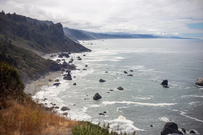 Image 14