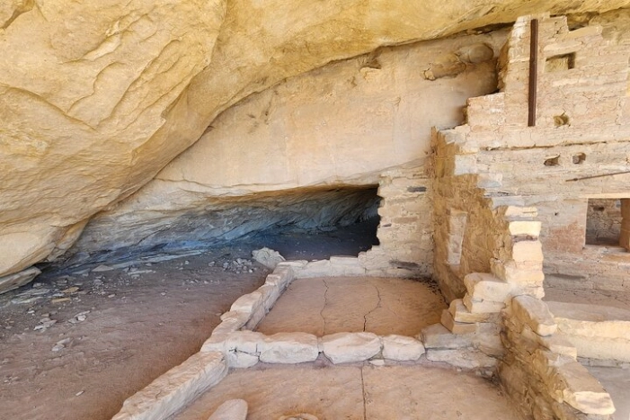 Image 6