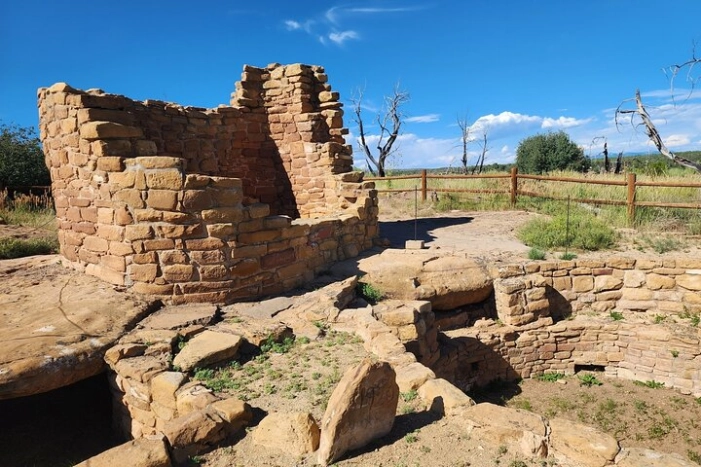 Image 19