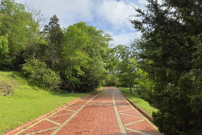 Image 11