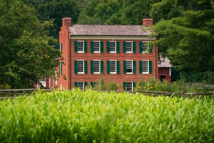 Image 15