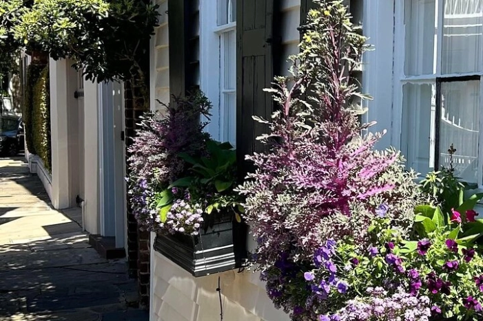 Image 11