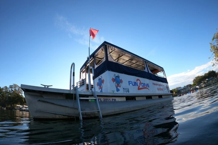 Image 11