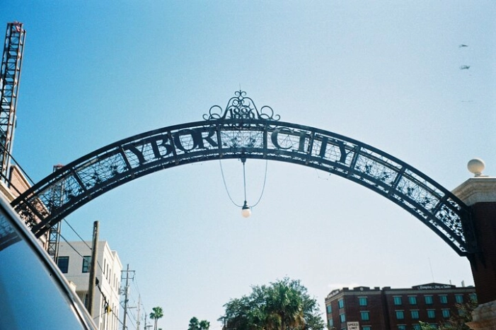 Image 4