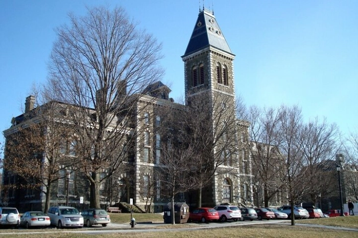 Image 7
