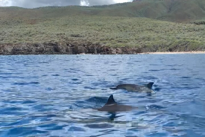Image 21