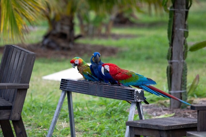 Image 11