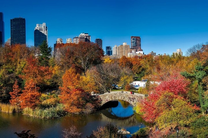 Central Park Shakespeare Quest Experience in New York