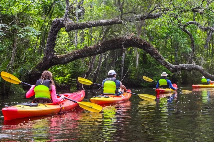 Amelia Island Guided Kayak Tour of Lofton Creek 