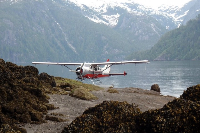 Image 6