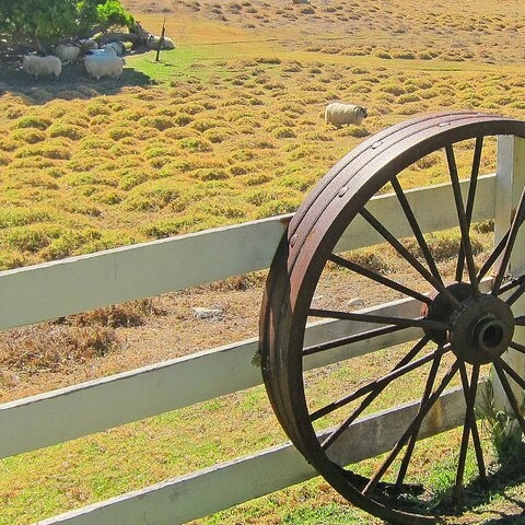Image 15