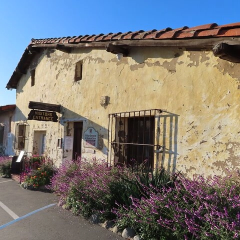 Image 19