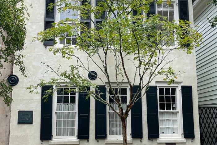Image 8