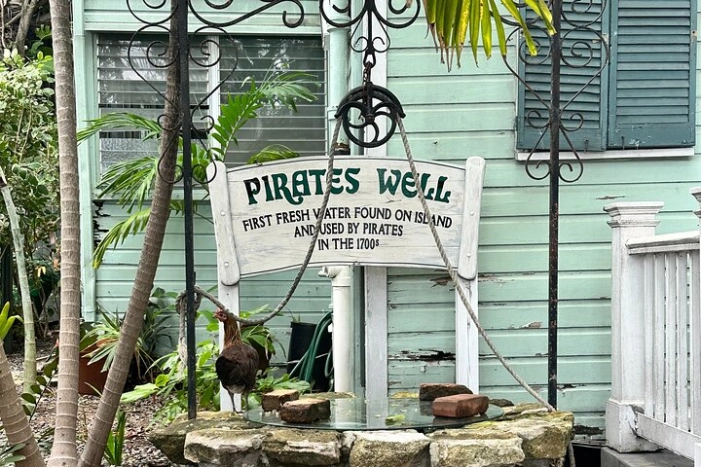Image 11