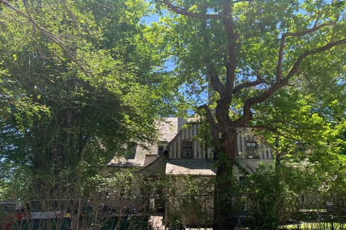 Image 6