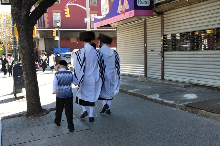 Image 7