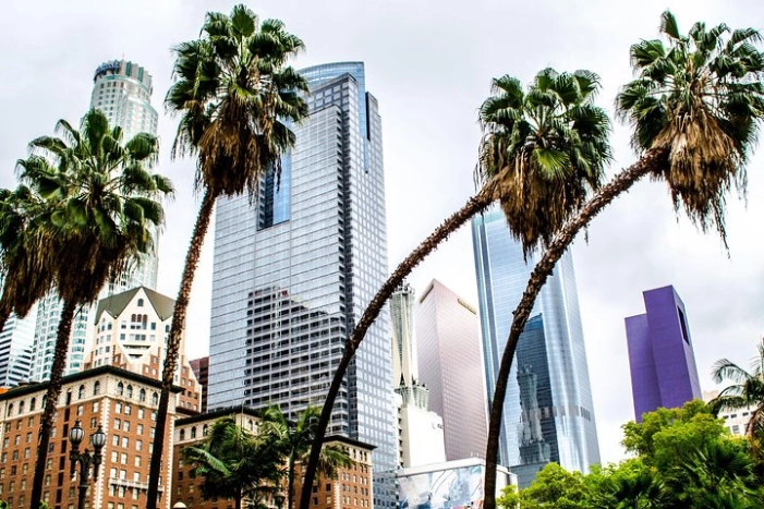 Private Layover Los Angeles Tour with Pickup from LAX - Santa Monica, Venice