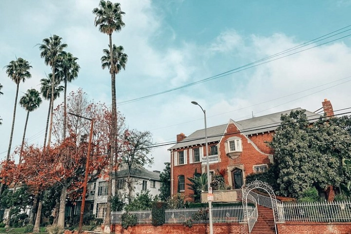 Image 7