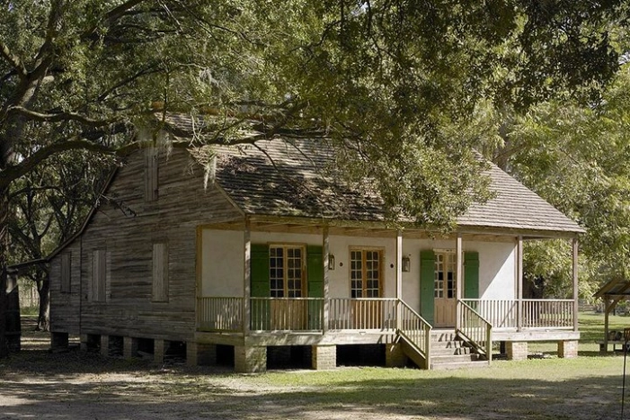 Image 7