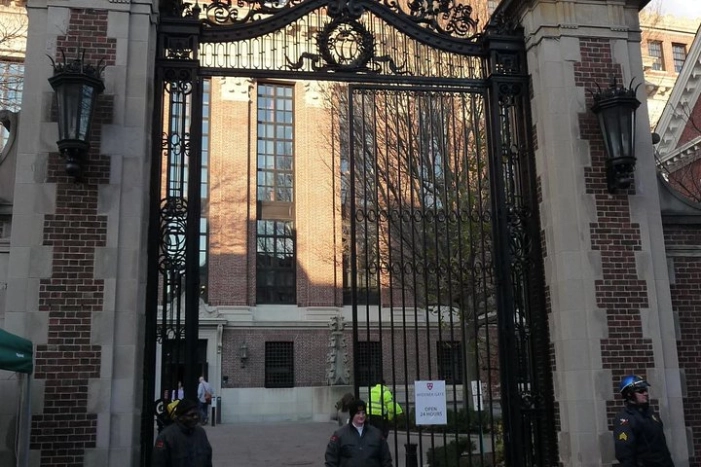 Image 8