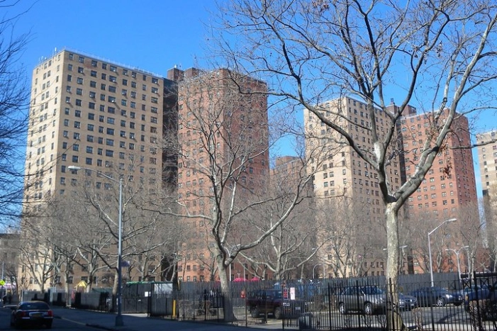 Image 11