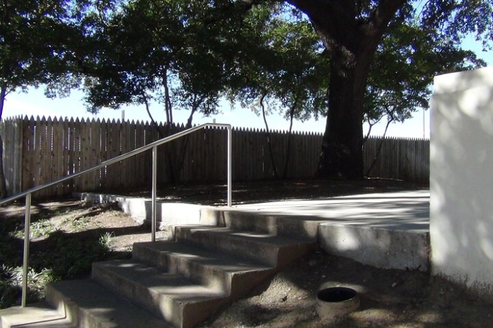 Image 7
