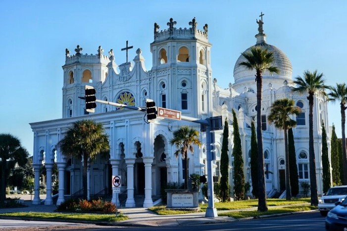 All day Galveston Tour From Houston with Tall Ship Elissa & Dolphin Watch