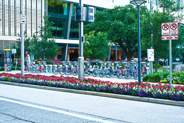 Image 12