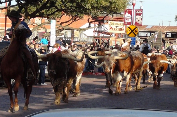  Fort Worth Historical Tour from Dallas