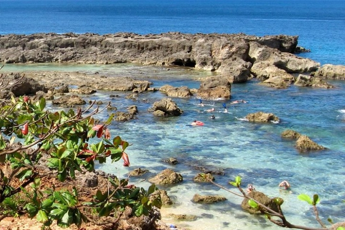 Image 13