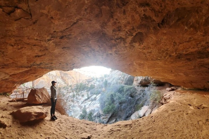 Image 4