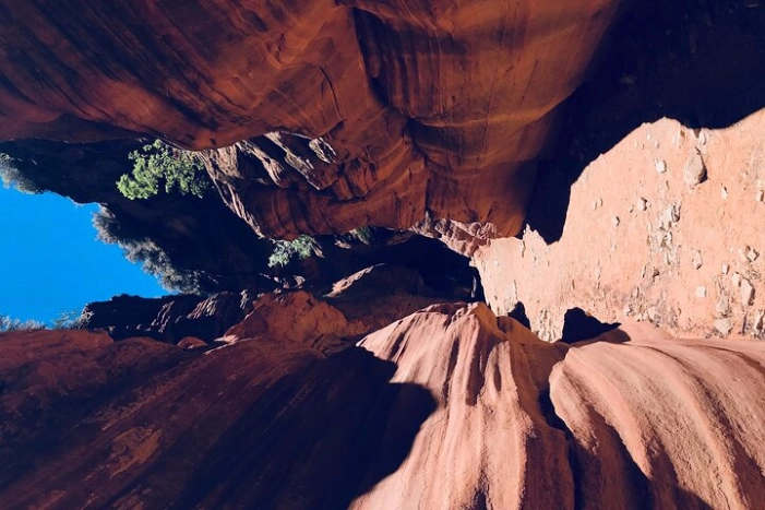 Image 7