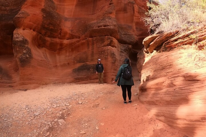 Image 12