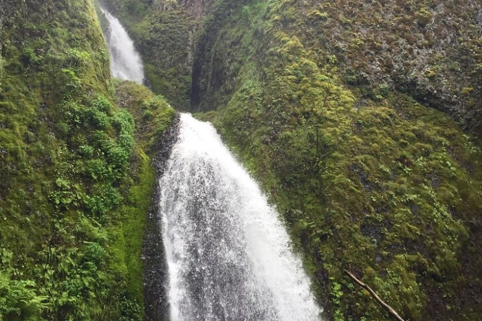 Image 14