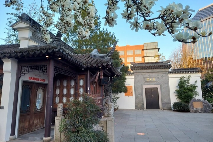 Image 11