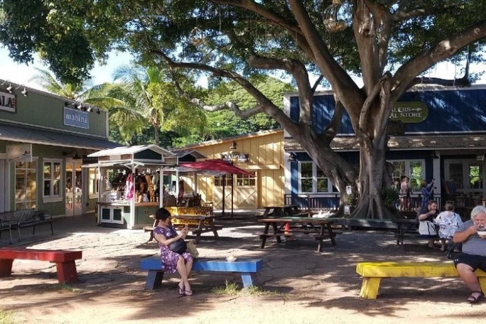 Image 11