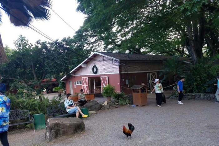Image 14