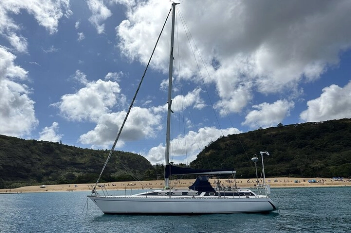 Image 6