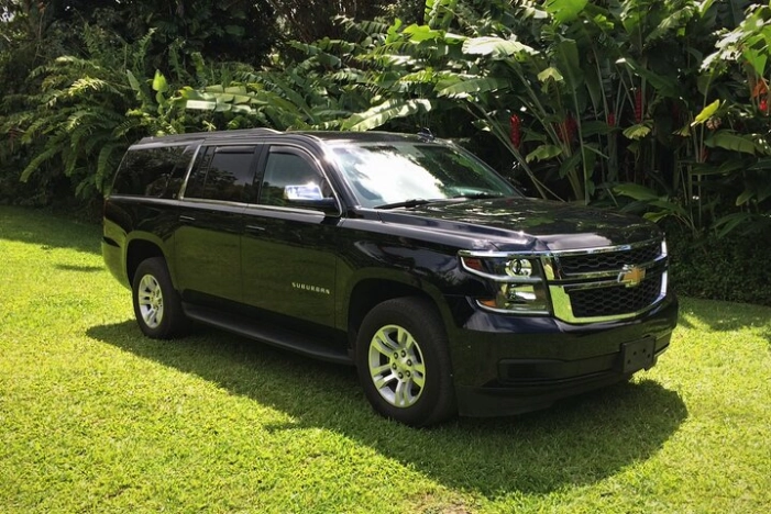 Private SUV Transfer- Lihue Airport to Lihue/Kapaa 