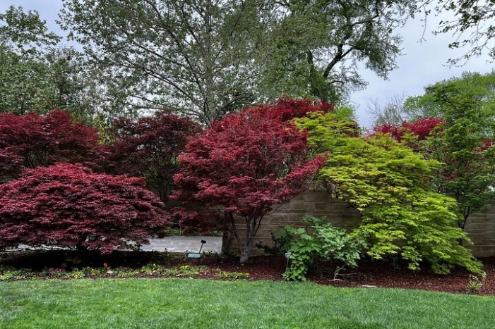 Image 10