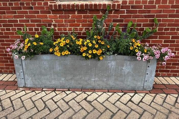 Image 20