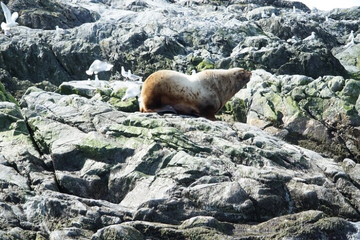Image 18