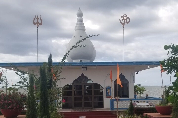 Image 5