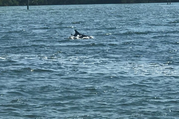Image 6
