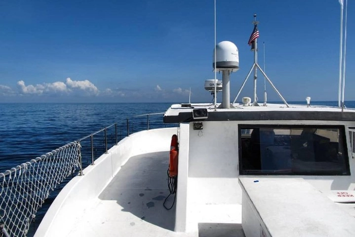 Image 10
