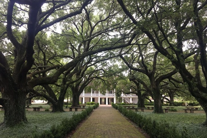 Whitney Plantation and Airboat Tour from New Orleans