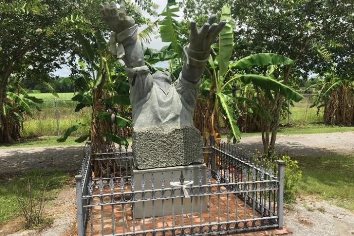 Image 6